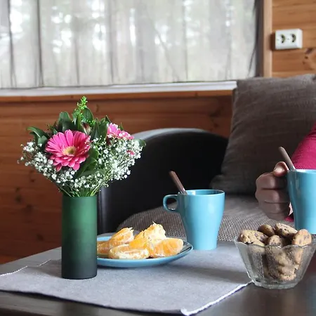 Vakantiehuis Kapteni House Paatsalu