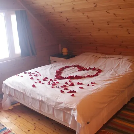 Kapteni House Vakantiehuis *